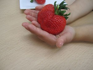 ももいちご　おいしい　甘い　佐那河内　徳島　　いちご　高級